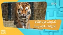 بعد العثور على أسد في أحد أحياء الرياض.. تحذيرات من اقتناء الحيوانات المفترسة داخل البيوت!