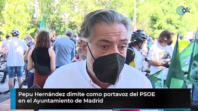 Pepu Hernández dimite como portavoz del PSOE en el Ayuntamiento de Madrid
