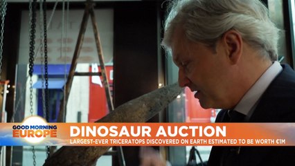 Big John, the biggest triceratops ever found, goes on display in Paris