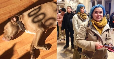 21 photos de coïncidences absolument incroyables qui vont vous scotcher