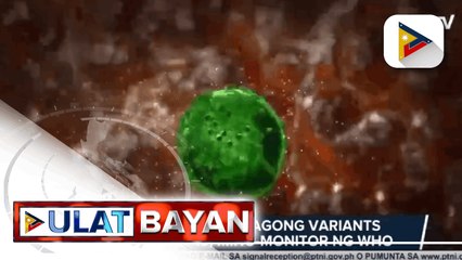 Télécharger la video: Dalawa pang bagong variants ng COVID-19, mino-monitor ng WHO