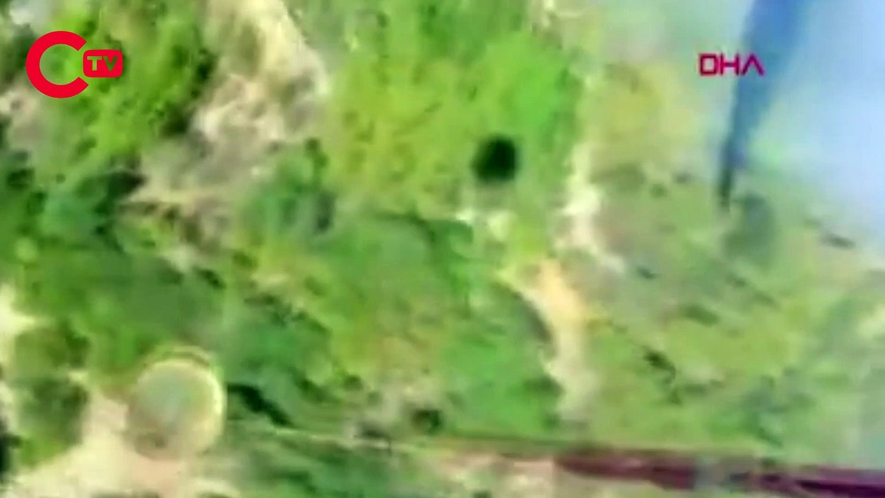 Muğla'nın Milas ilçesinde orman yangını