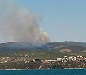 Son dakika: Kıyıkışlacık'ta ormanlık alanda yangın başladı