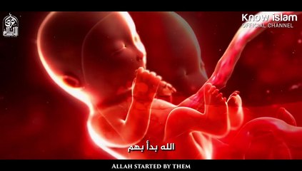 63. التردد في الإنجاب خوفا على الرزق  الدكتور محمد راتب النابلسي