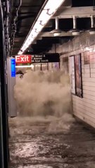 Al menos 8 muertos en Nueva York y Nueva Jersey por las fuertes lluvias 1/2