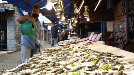 KARADENİZ'DE İSTAVRİT BEREKETİ