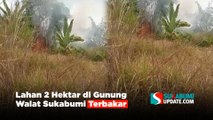 Lahan 2 Hektar di Gunung Walat Sukabumi Terbakar