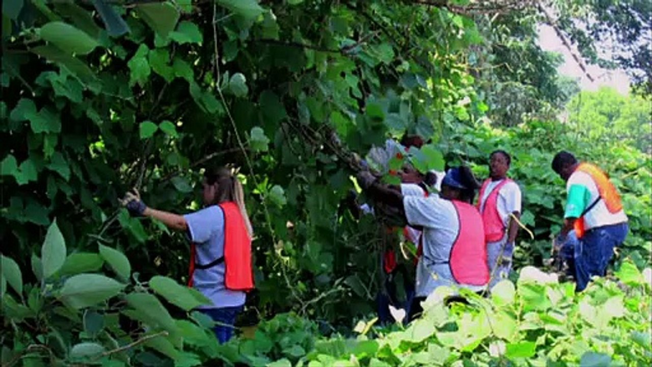 Zukunft ohne Menschen - Das Gesetz der Wildnis