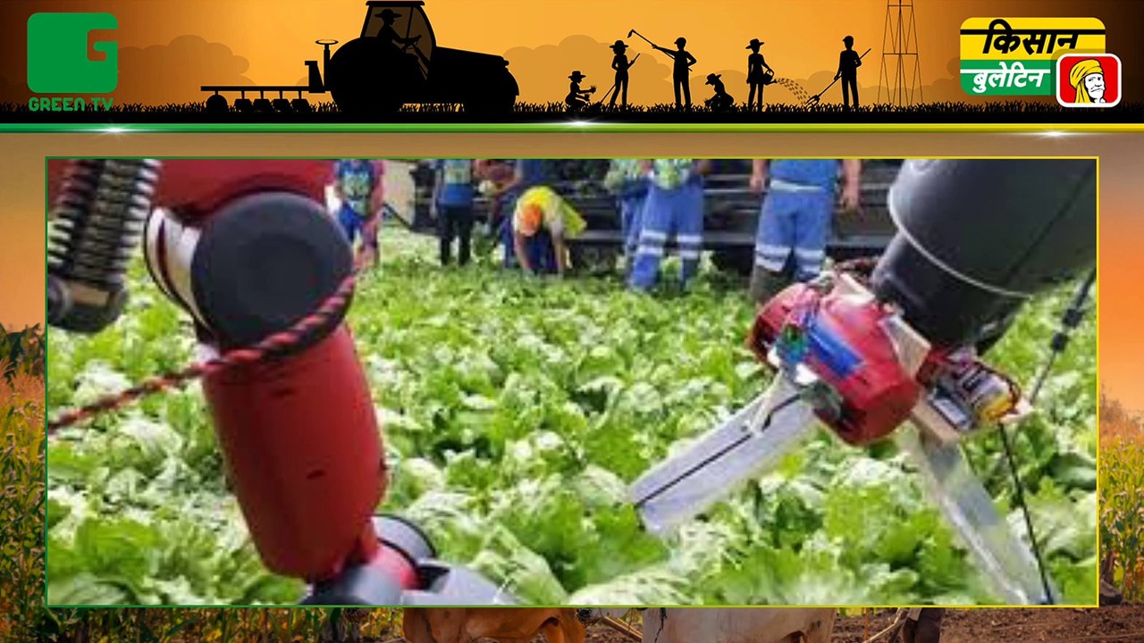 किसानों को सशक्त (empower farmers) बनाने के लिए अमेजन ने शुरू किया एग्रोनॉमी सर्विसेस (Amazon Retail Launches Agronomy Services for Farmers), किसान    स्टोर (Kisan Store) से घर बैठे बीज (Seed) व खाद (Fertilizer) मंगा सकेंगे किसान भाई | Kisan Bulletin