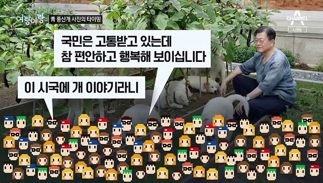 [여랑야랑]대통령 풍산개 사진 논란…‘타이밍’의 중요성 / 文 참모들 ‘환승’의 이유