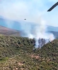 muğla orman yangını