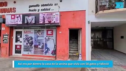 Así era por dentro la casa de la vecina que vivía con 50 gatos y falleció