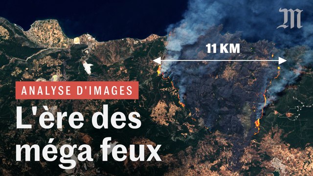 Incendies géants : pourquoi les feux de forêt sont de plus en plus violents