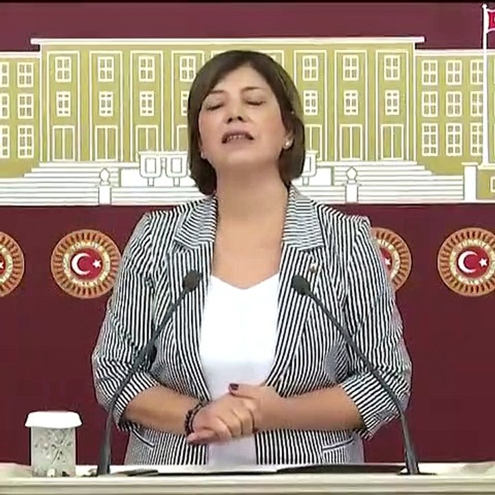 HDP Grup Başkanvekili Beştaş: Terörle mücadele adı altında ormanlar yakılıyor