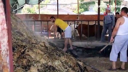 Manisa'da kopan elektrik telleri 600 balya samanı küle çevirdi