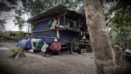 Kisah Satu Keluarga Tinggal di Kandang Sapi karena Terlilit Hutang