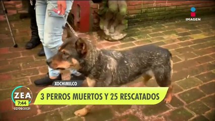 Así puedes ayudar a "Milagros Caninos" tras el deslave en Xochimilco