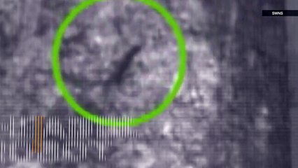 This Headbutting Robot Can Smash and Attach to a Wall Like Its Silly, Gecko Counterpart