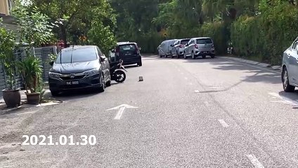 WPL D12 top speed test | How fast it can go with 2435 brushless motor?