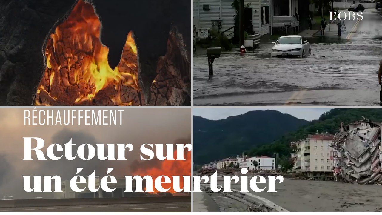 Réchauffement climatique : l'été de toutes les catastrophes