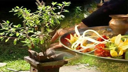 Aja Ekadashi 2021: अजा एकादशी के दिन तुलसी पूजा क्यों करें | अजा एकादशी तुलसी पूजा विधि | Boldsky