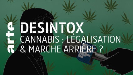 CANNABIS,  LÉGALISATION & MARCHE ARRIÈRE ? | 31/08/2021 | Désintox | ARTE