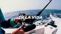 Viva la pesca - MVSTV