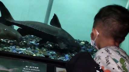 Musium air tawar taman mini indonesia indah