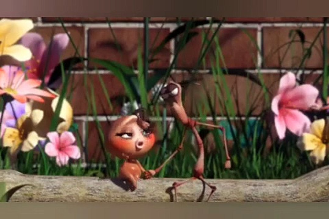 Larva cartoons - capitulo completo