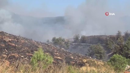 Bodrum'da çıkan yangında 13 hektar alan küle döndü