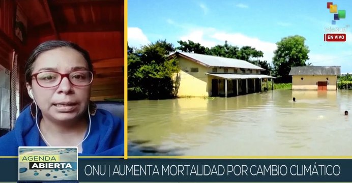 El efecto negativo del cambio climático en ecosistemas sanos