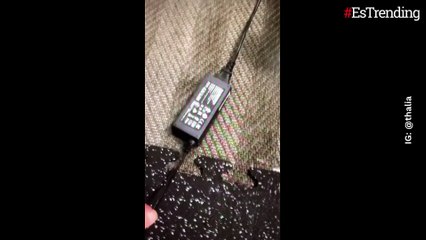 ¡Impresionante! Thalía mostró cómo quedó su casa tras inundarse por lluvias en Nueva York