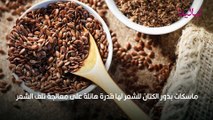 فوائد ماسك بذور الكتان للشعر