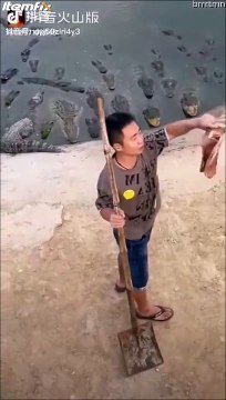 Mieux vaut ne pas mettre les pieds dans l'eau... Beaucoup trop de crocodiles