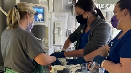 Nurses Stay Behind, Care For NICU Babies During Hurricane
