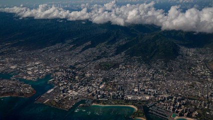 Woman's Attempt at Using Fake Vaccination Card to Visit Hawaii Goes Viral Due to Major Typ