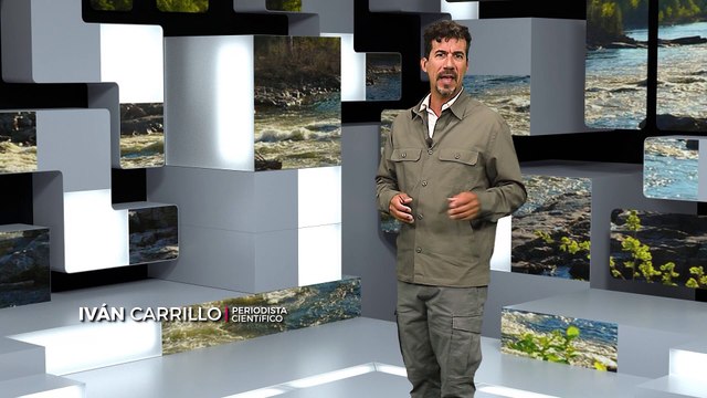 Reporte Climático 05 | Ecosistemas marinos y cambio climático