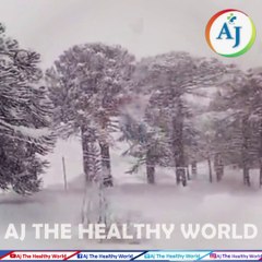 Download Video: Abnormal Snowfall In Argentina | Global Warming | Extreme Weather | Climate change | Argentina News