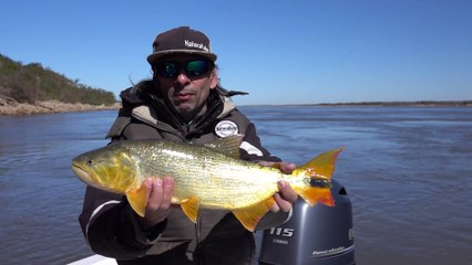 Santa Elena Una Vuelta Mas