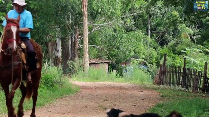 दुनिया की सबसे फास्ट ट्रेन | World's Fastest Train Hyperloop हाइपरलूप @Science News TV - हिन्दी 