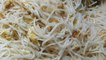 chicken noodles | chicken noodles recipe | noodles recipe