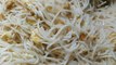 chicken noodles | chicken noodles recipe | noodles recipe
