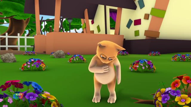 Roz Savere Uthna Achha Hota Hai _ Machali Jal Ki Rani Hai _ Billi Mausi _ Main Tota Main Tota