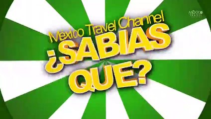 Mexico Travel Channel TV (18)