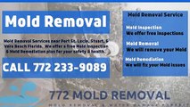 Best Mold Removal Service is 772 mold removal  __ mold removal port st. lucie florida