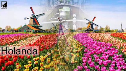 Os 5 países mais felizes do mundo