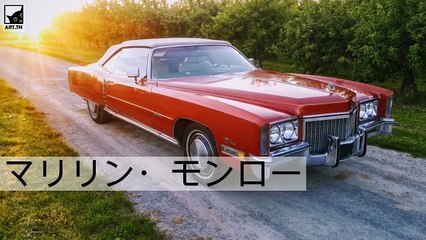 スターとその車：ハリウッドのアイコンとその有名なモーター