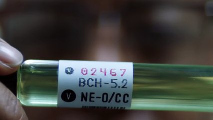 The Walking Dead World Beyond s02 Trailer