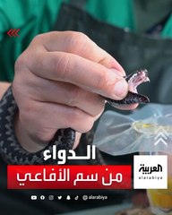 صيدلاني روسي يعيش بين الأفاعي .. مهمته اليومية استخراج السم وتحويله إلى دواء