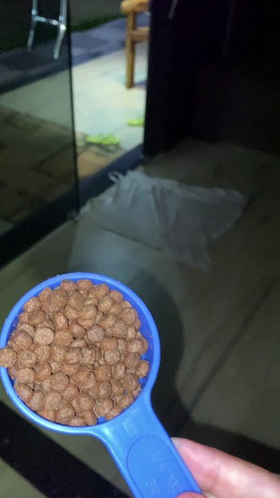 Angry Dog Suddenly Attacks Food Scoop